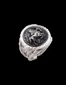 Anello Zodiaco Sagittario