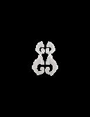 Orecchini Draghi e zirconi doppi