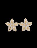 Orecchini Royale polvere di perle