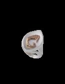 Anello Drago a spola rosé