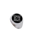 Anello Cocchio medal