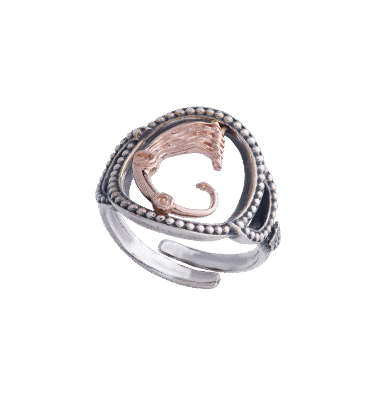 Anello Drago nei Cerchi trinitari