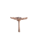 Anello Soldanella Calabria Bella rosè