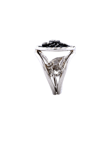 Anello Zodiaco Pesci