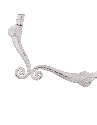 Collier Magnificent code del drago